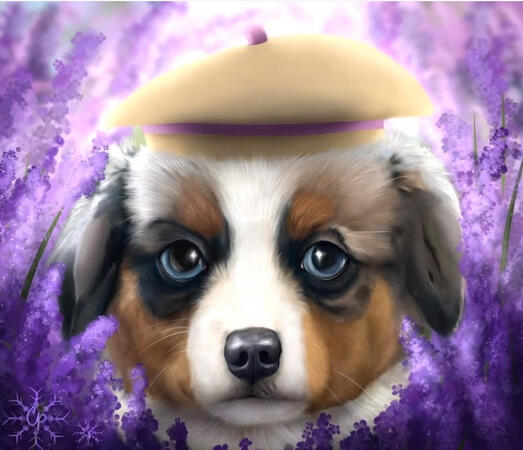 Untitled Untitled